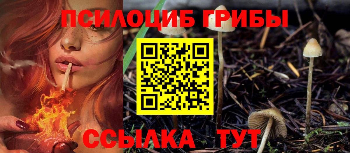 наркота  Псилоцибиновые грибы Psilocybine cubensis  Вход с VPN  Саяногорск  Псилоцибиновые грибы Magic Shrooms 